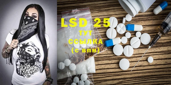 ECSTASY Чекалин