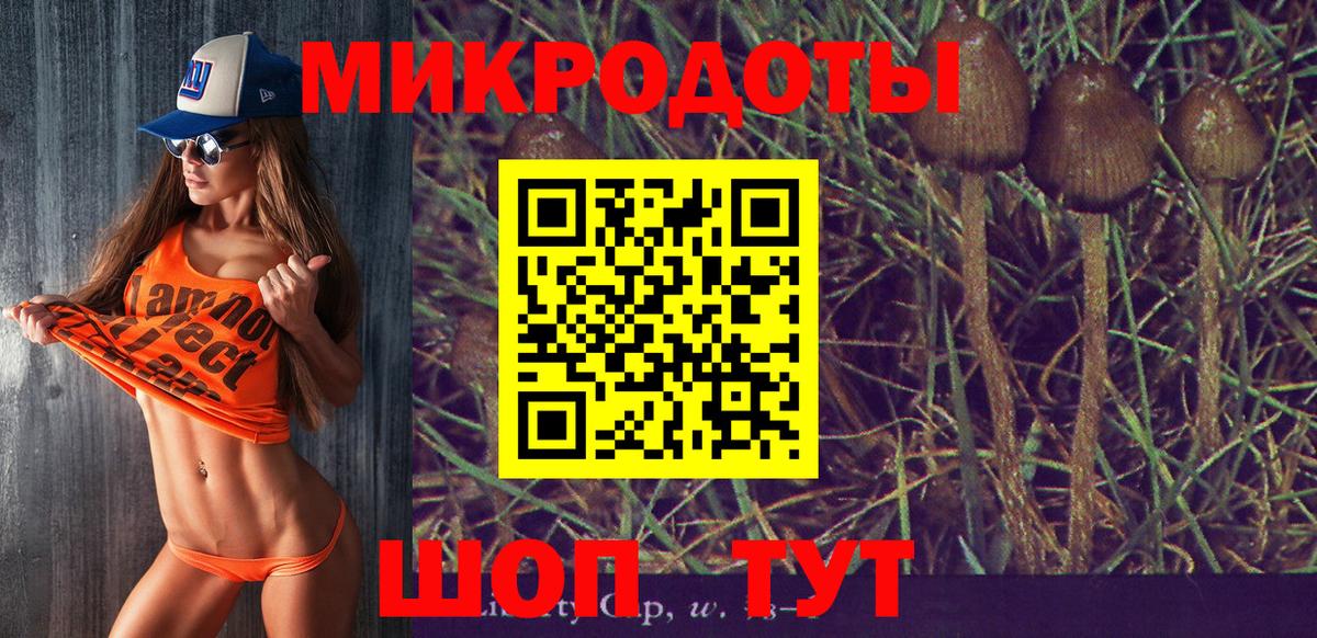 Псилоцибиновые грибы Magic Shrooms Черемхово